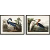 Kirkland's Home Framed Art-Water Birds Framed Art Prints, Set Of 2