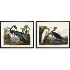 Kirkland's Home Framed Art-Water Birds Framed Art Prints, Set Of 2