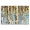 Kirkland's Home Canvas Art-White Birch Forest Canvas Art Print, 60X40 In.